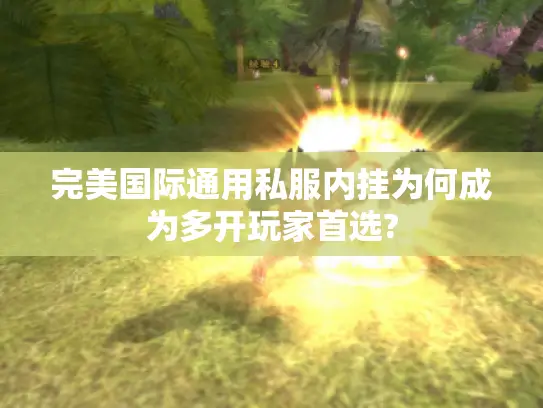 完美国际通用私服内挂为何成为多开玩家首选?