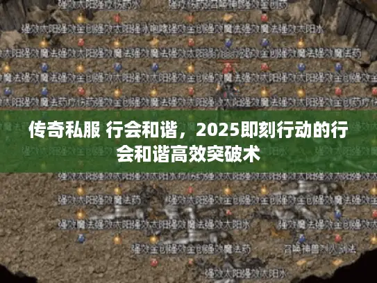 传奇私服 行会和谐，2025即刻行动的行会和谐高效突破术