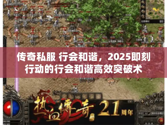传奇私服 行会和谐，2025即刻行动的行会和谐高效突破术
