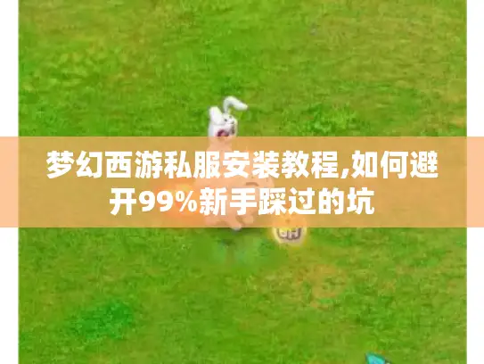 梦幻西游私服安装教程,如何避开99%新手踩过的坑 梦幻西游私服安装教程,如何避开99%新手踩过的坑