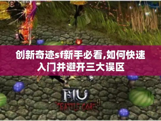 创新奇迹sf新手必看,如何快速入门并避开三大误区