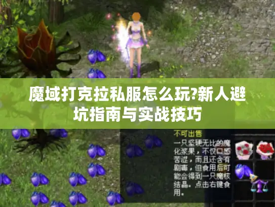 魔域打克拉私服怎么玩?新人避坑指南与实战技巧