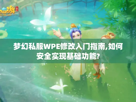 梦幻私服WPE修改入门指南,如何安全实现基础功能?