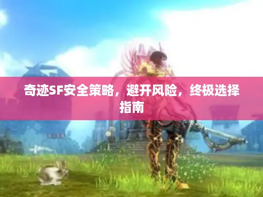 奇迹SF安全策略，避开风险，终极选择指南