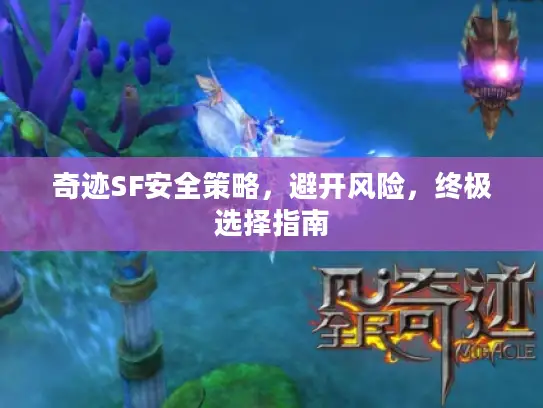 奇迹SF安全策略，避开风险，终极选择指南