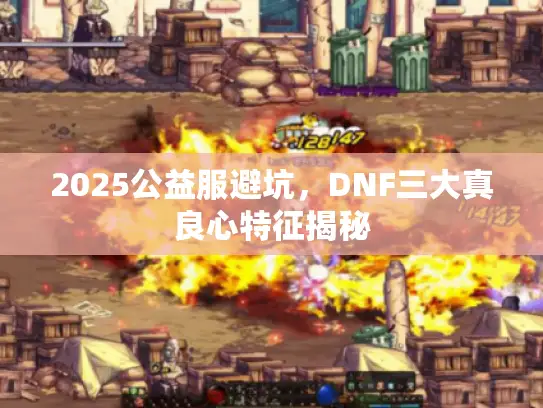 2025公益服避坑，DNF三大真良心特征揭秘