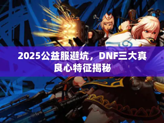 2025公益服避坑，DNF三大真良心特征揭秘