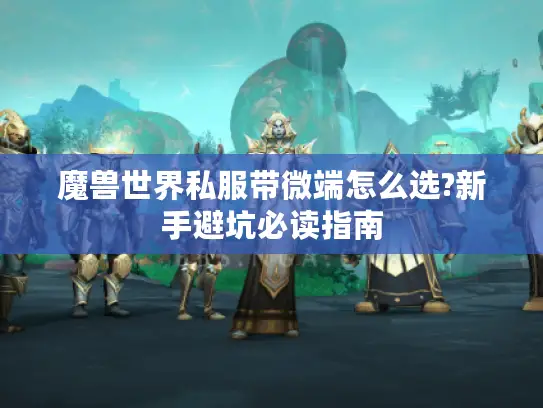 魔兽世界私服带微端怎么选?新手避坑必读指南