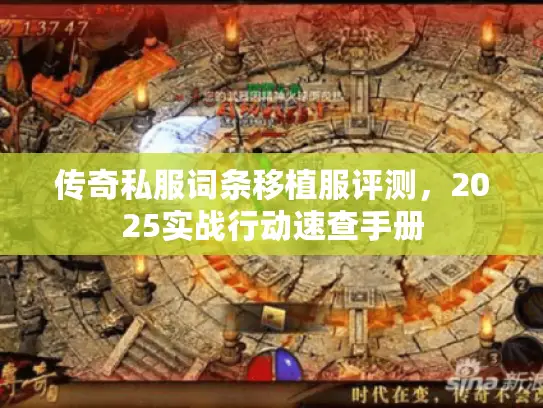传奇私服词条移植服评测,2025实战行动速查手册 传奇私服词条移植服评测,2025实战行动速查手册