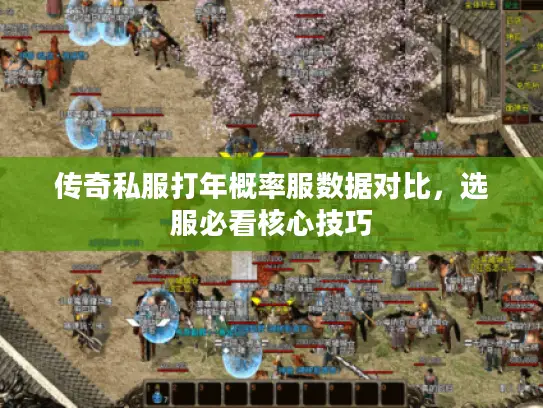 传奇私服打年概率服数据对比，选服必看核心技巧