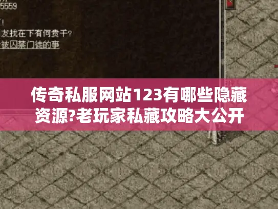 传奇私服网站123有哪些隐藏资源?老玩家私藏攻略大公开