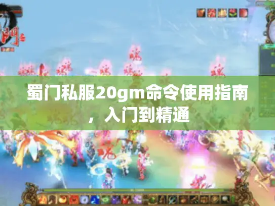 蜀门私服20gm命令使用指南，入门到精通