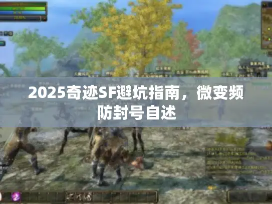 2025奇迹SF避坑指南，微变频防封号自述