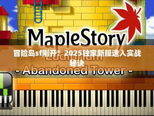 冒险岛sf刚开！2025独家新服速入实战秘诀