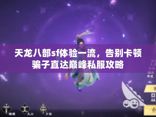 天龙八部sf体验一流,告别卡顿骗子直达巅峰私服攻略 天龙八部sf体验一流,告别卡顿骗子直达巅峰私服攻略