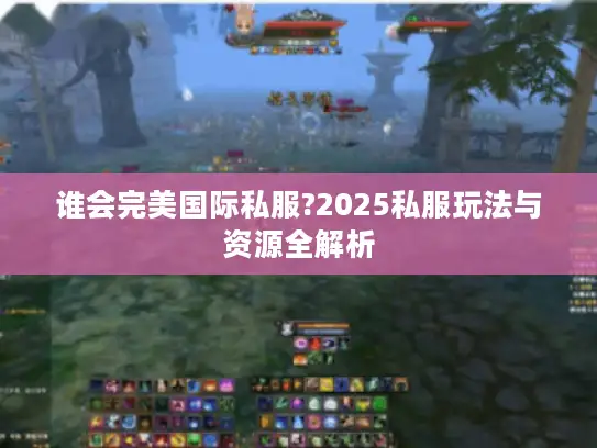 谁会完美国际私服?2025私服玩法与资源全解析