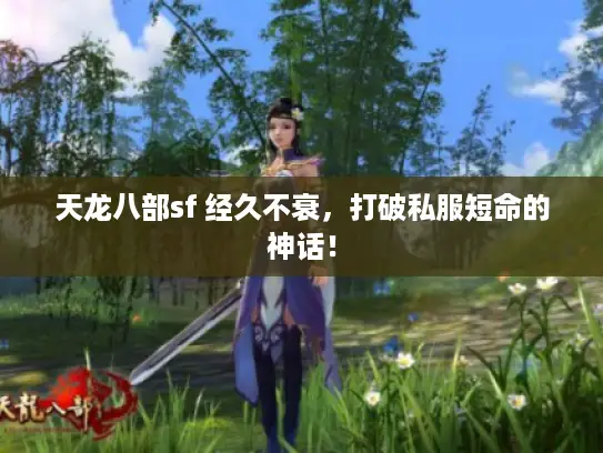 天龙八部sf 经久不衰，打破私服短命的神话！