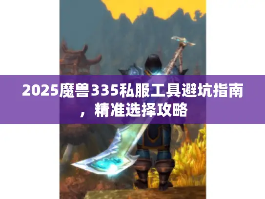 2025魔兽335私服工具避坑指南，精准选择攻略