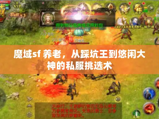 魔域sf 养老,从踩坑王到悠闲大神的私服挑选术 魔域sf 养老,从踩坑王到悠闲大神的私服挑选术