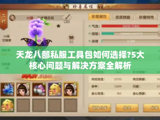 天龙八部私服工具包如何选择?5大核心问题与解决方案全解析 天龙八部私服工具包如何选择?5大核心问题与解决方案全解析