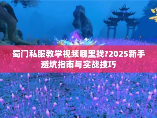 蜀门私服教学视频哪里找?2025新手避坑指南与实战技巧