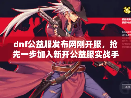 dnf公益服发布网刚开服，抢先一步加入新开公益服实战手册