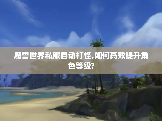 魔兽世界私服自动打怪,如何高效提升角色等级?