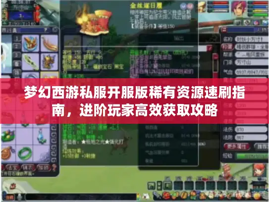 梦幻西游私服开服版稀有资源速刷指南,进阶玩家高效获取攻略 梦幻西游私服开服版稀有资源速刷指南,进阶玩家高效获取攻略