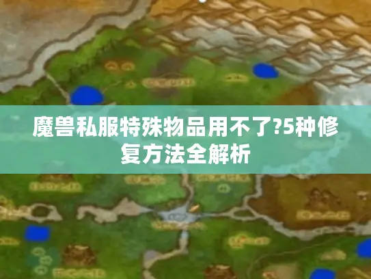魔兽私服特殊物品用不了?5种修复方法全解析