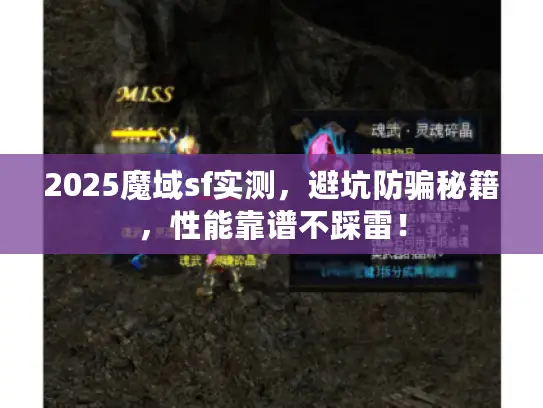 2025魔域sf实测，避坑防骗秘籍，性能靠谱不踩雷！
