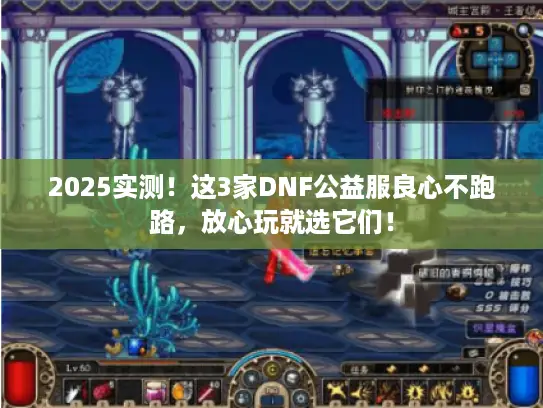 2025实测!这3家DNF公益服良心不跑路,放心玩就选它们! 2025实测!这3家DNF公益服良心不跑路,放心玩就选它们!