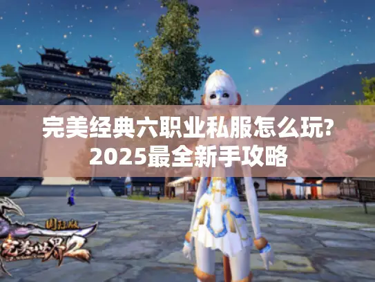 完美经典六职业私服怎么玩?2025最全新手攻略