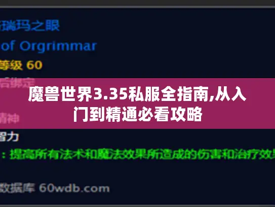 魔兽世界3.35私服全指南,从入门到精通必看攻略