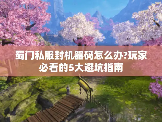 蜀门私服封机器码怎么办?玩家必看的5大避坑指南