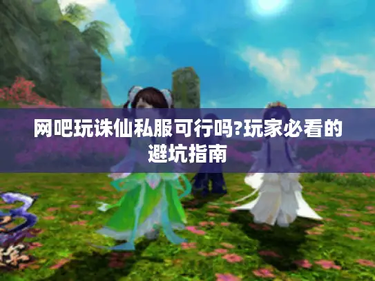 网吧玩诛仙私服可行吗?玩家必看的避坑指南