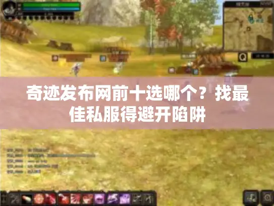 奇迹发布网前十选哪个？找最佳私服得避开陷阱
