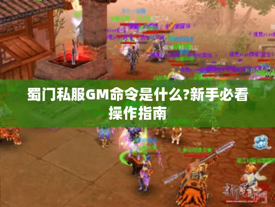 蜀门私服GM命令是什么?新手必看操作指南
