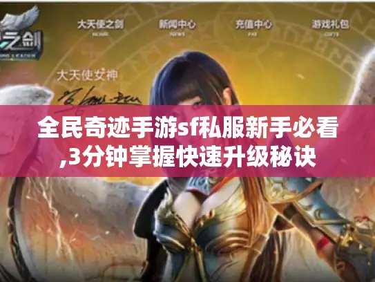 全民奇迹手游sf私服新手必看,3分钟掌握快速升级秘诀