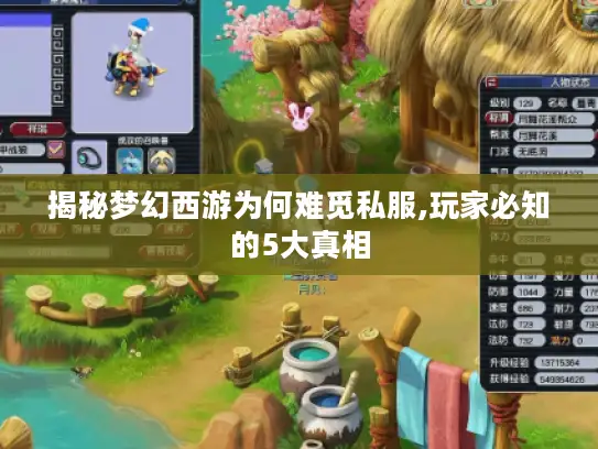 揭秘梦幻西游为何难觅私服,玩家必知的5大真相