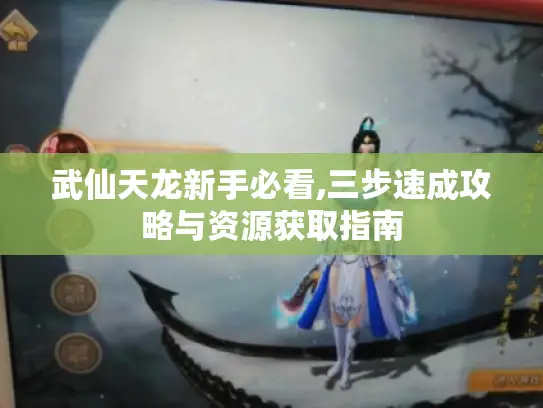 武仙天龙新手必看,三步速成攻略与资源获取指南