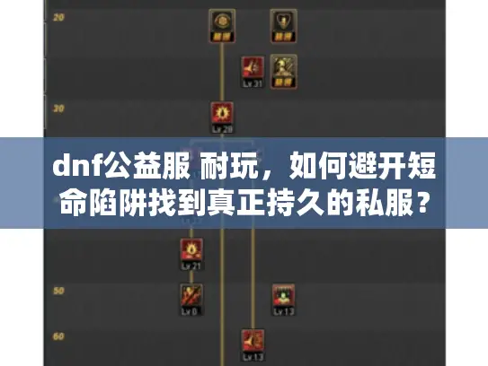 dnf公益服 耐玩，如何避开短命陷阱找到真正持久的私服？