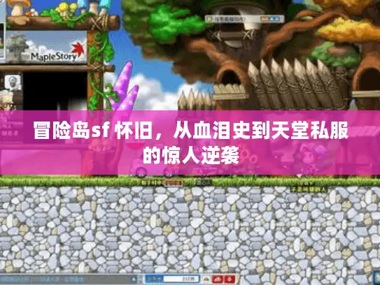 冒险岛sf 怀旧，从血泪史到天堂私服的惊人逆袭
