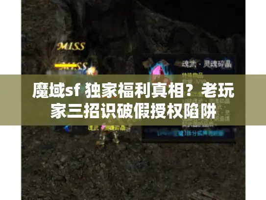 魔域sf 独家福利真相？老玩家三招识破假授权陷阱