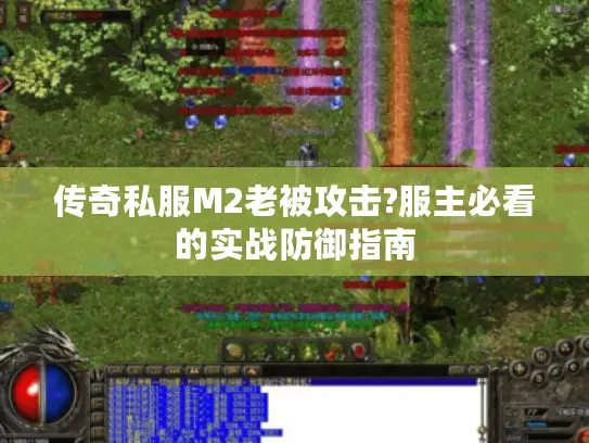 传奇私服M2老被攻击?服主必看的实战防御指南