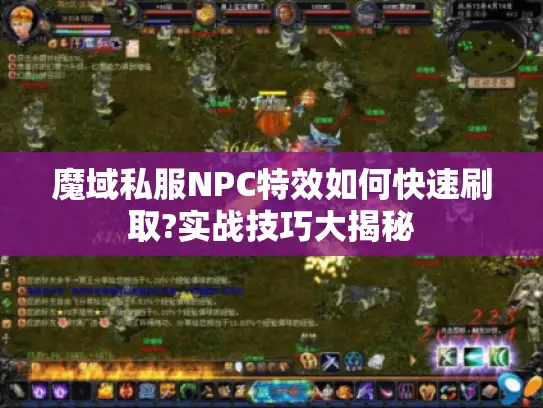 魔域私服NPC特效如何快速刷取?实战技巧大揭秘 魔域私服NPC特效如何快速刷取?实战技巧大揭秘