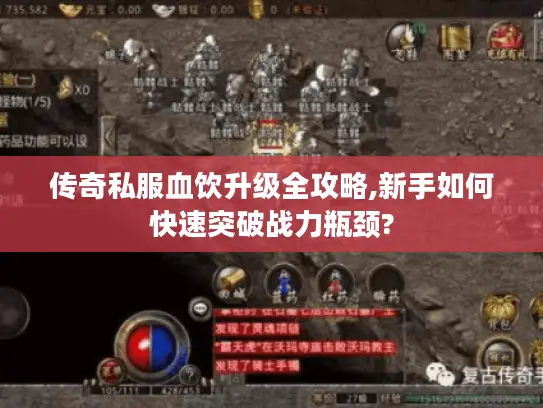 传奇私服血饮升级全攻略,新手如何快速突破战力瓶颈?