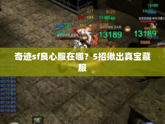 奇迹sf良心服在哪?5招揪出真宝藏服 奇迹sf良心服在哪?5招揪出真宝藏服