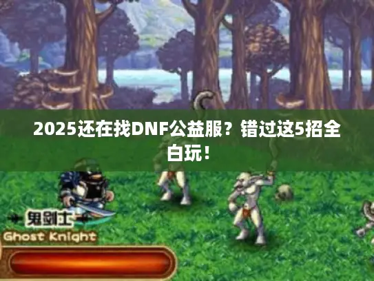 2025还在找DNF公益服？错过这5招全白玩！
