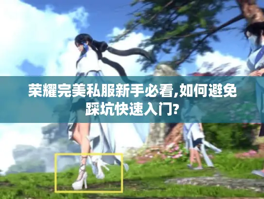 荣耀完美私服新手必看,如何避免踩坑快速入门? 荣耀完美私服新手必看,如何避免踩坑快速入门?