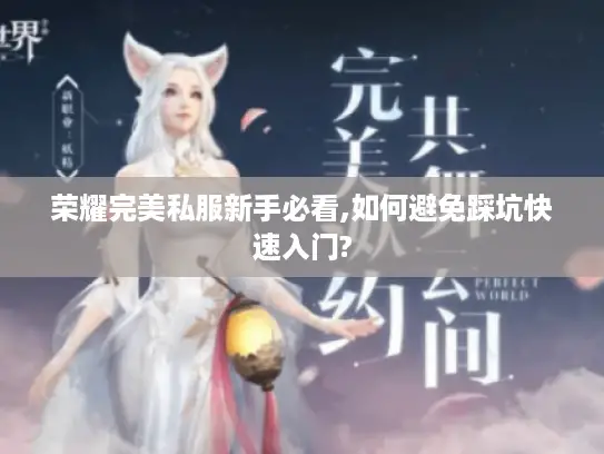 荣耀完美私服新手必看,如何避免踩坑快速入门? 荣耀完美私服新手必看,如何避免踩坑快速入门?